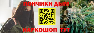 стафф Лесосибирск