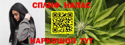стафф Лесосибирск