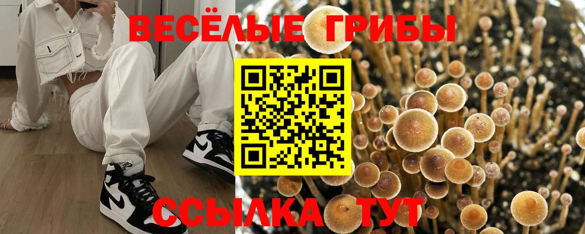 Галлюциногенные грибы мухоморы  Вход с VPN  Десногорск 
